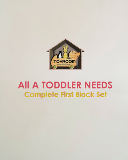 Toyroom-All A Toddler Needs Complete First Block Set (52 pieces) 12  in 1 activity set