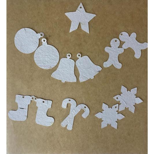 Toyroom Eco friendly Seed Paper Christmas Ornamnets (Set of 12)